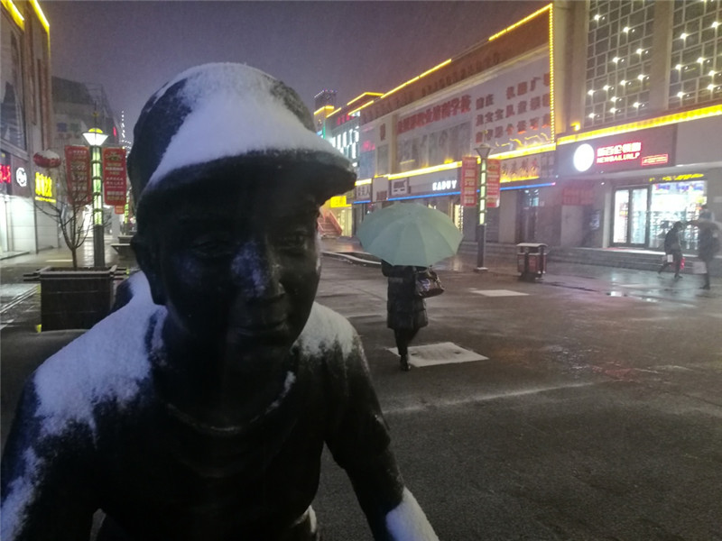 2月20日，在銀川市街頭，市民在雪中行走。