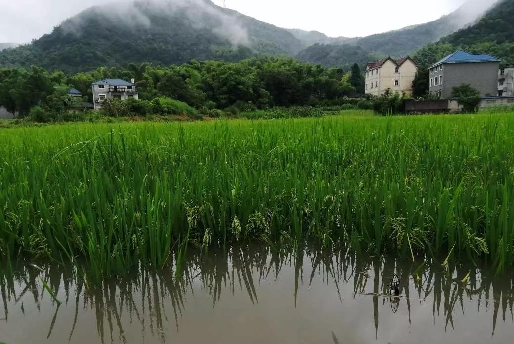 微信圖片_20190708153033.jpg