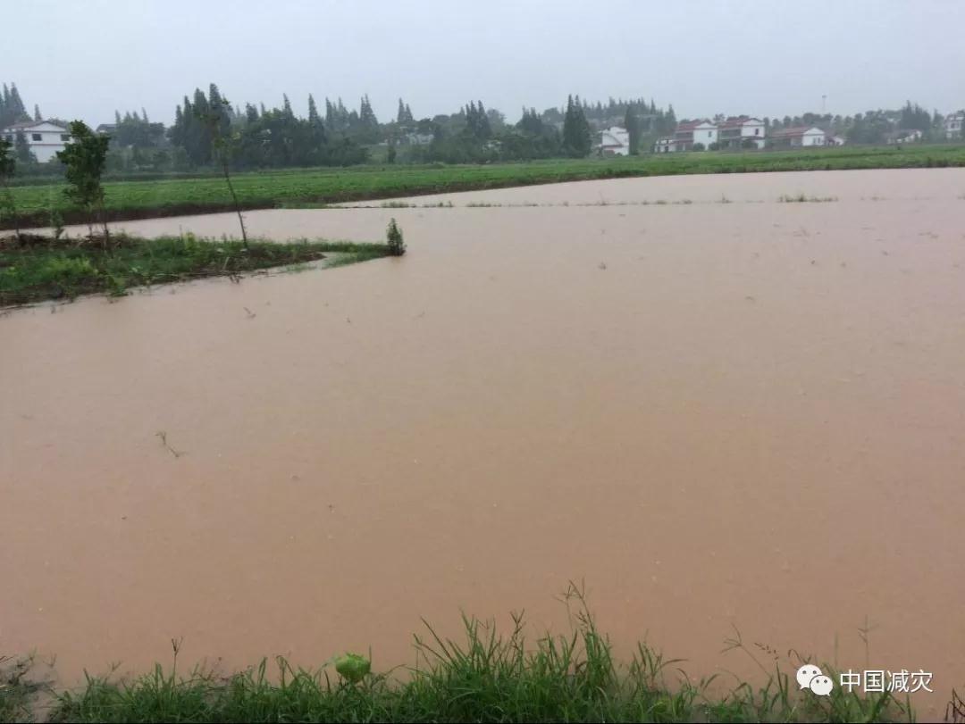 微信圖片_20190716102516.jpg