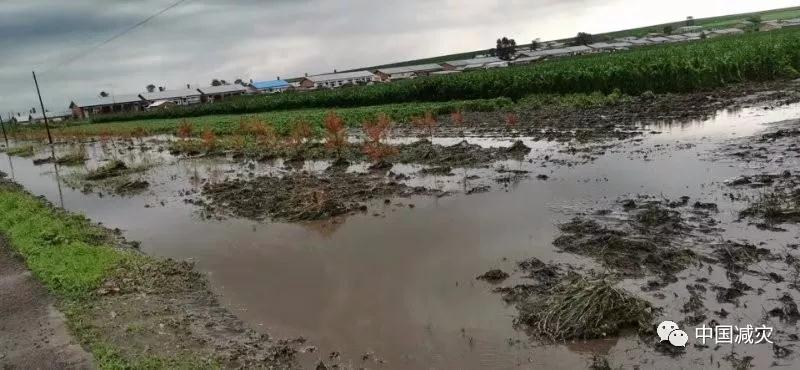 微信圖片_20190717163344.jpg