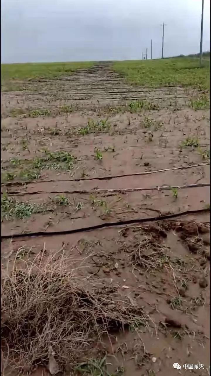 微信圖片_20190718173216.jpg