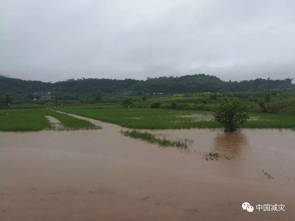 微信圖片_20190724162724.jpg