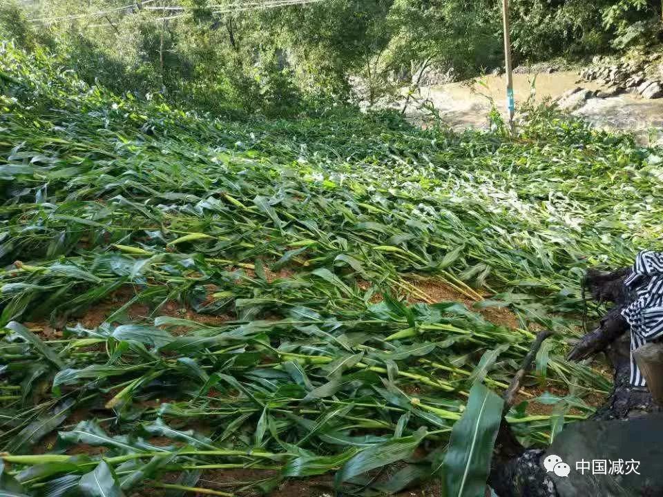 微信圖片_20190729160105.jpg