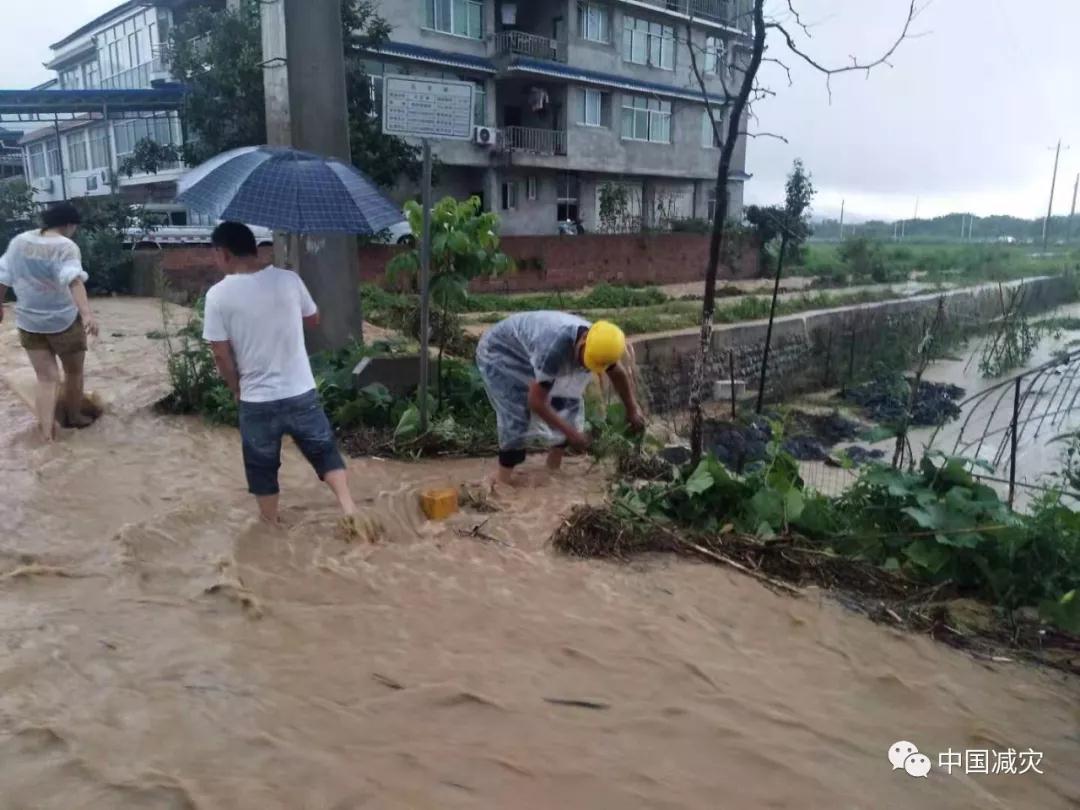 微信圖片_20190729160124.jpg