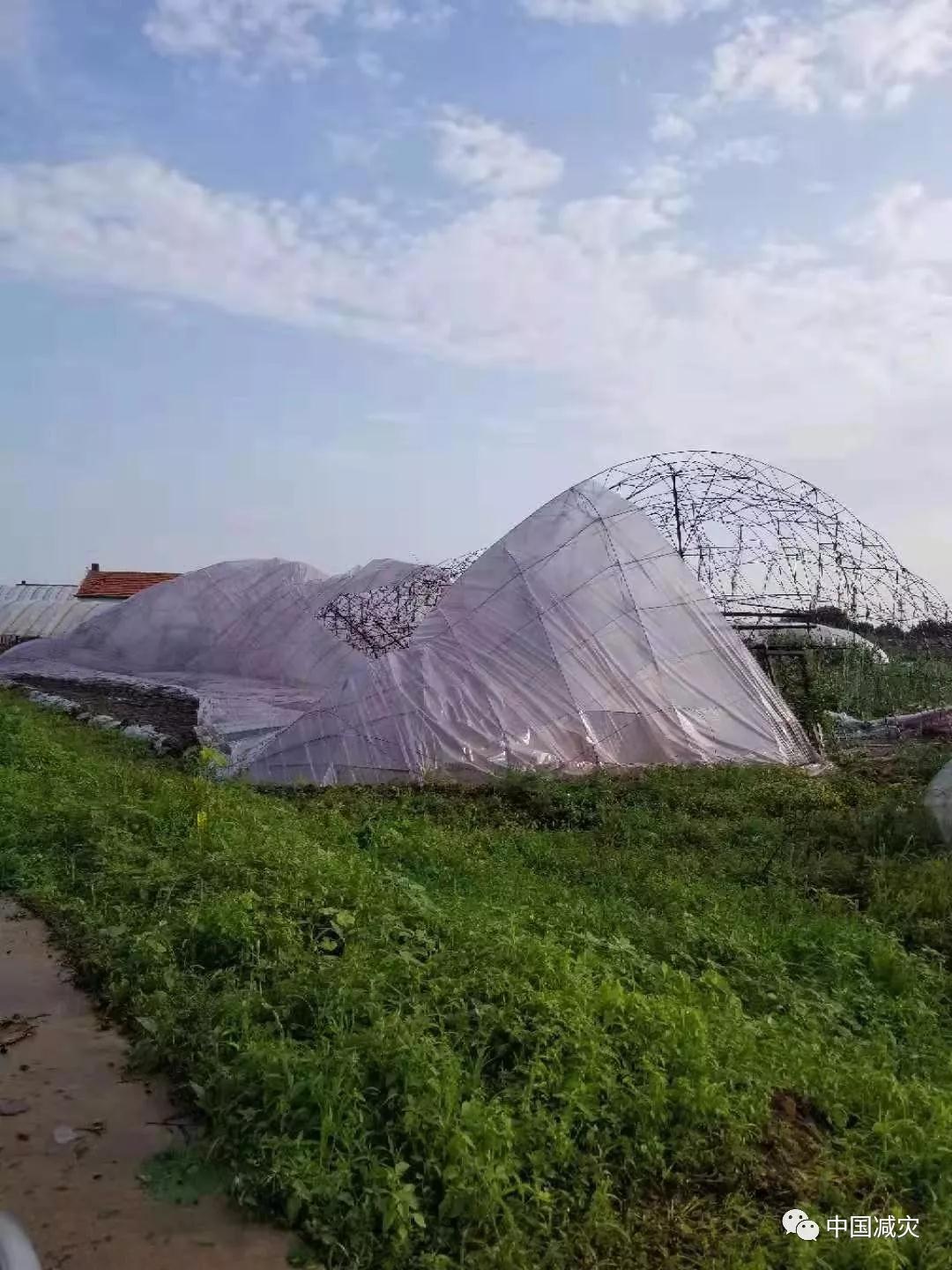 微信圖片_20190729160640.jpg