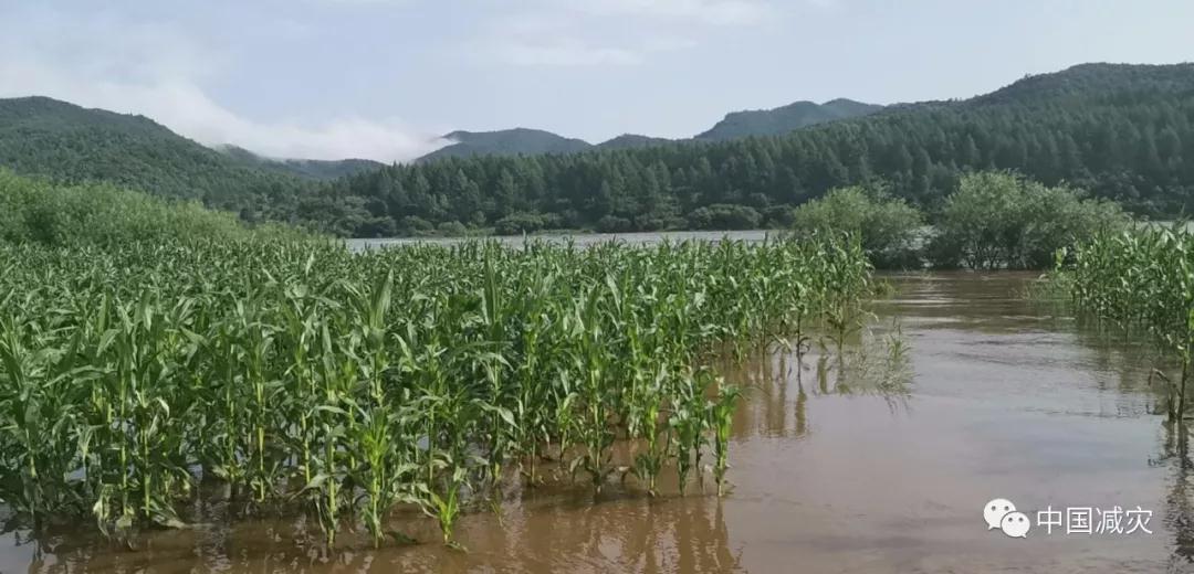 微信圖片_20190801171656.jpg