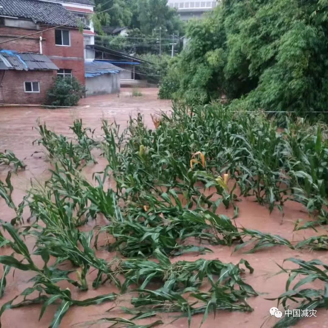 微信圖片_20190801173128.jpg