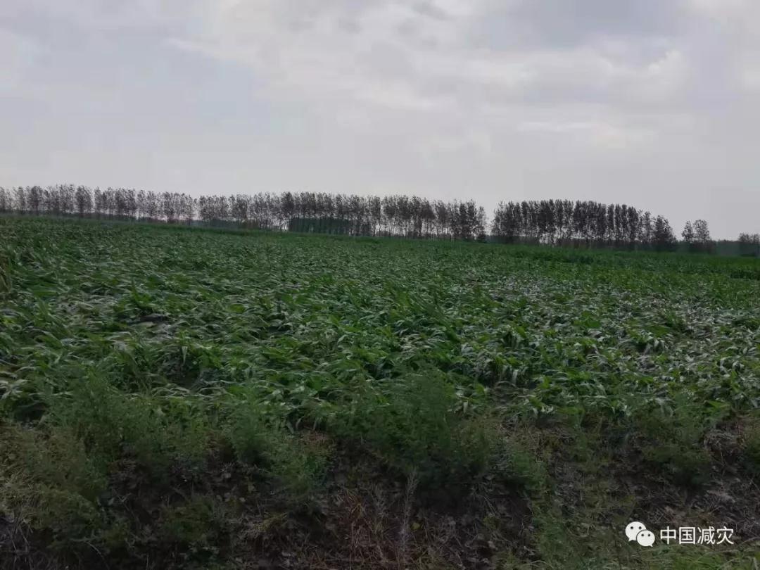 微信圖片_20190802134229.jpg