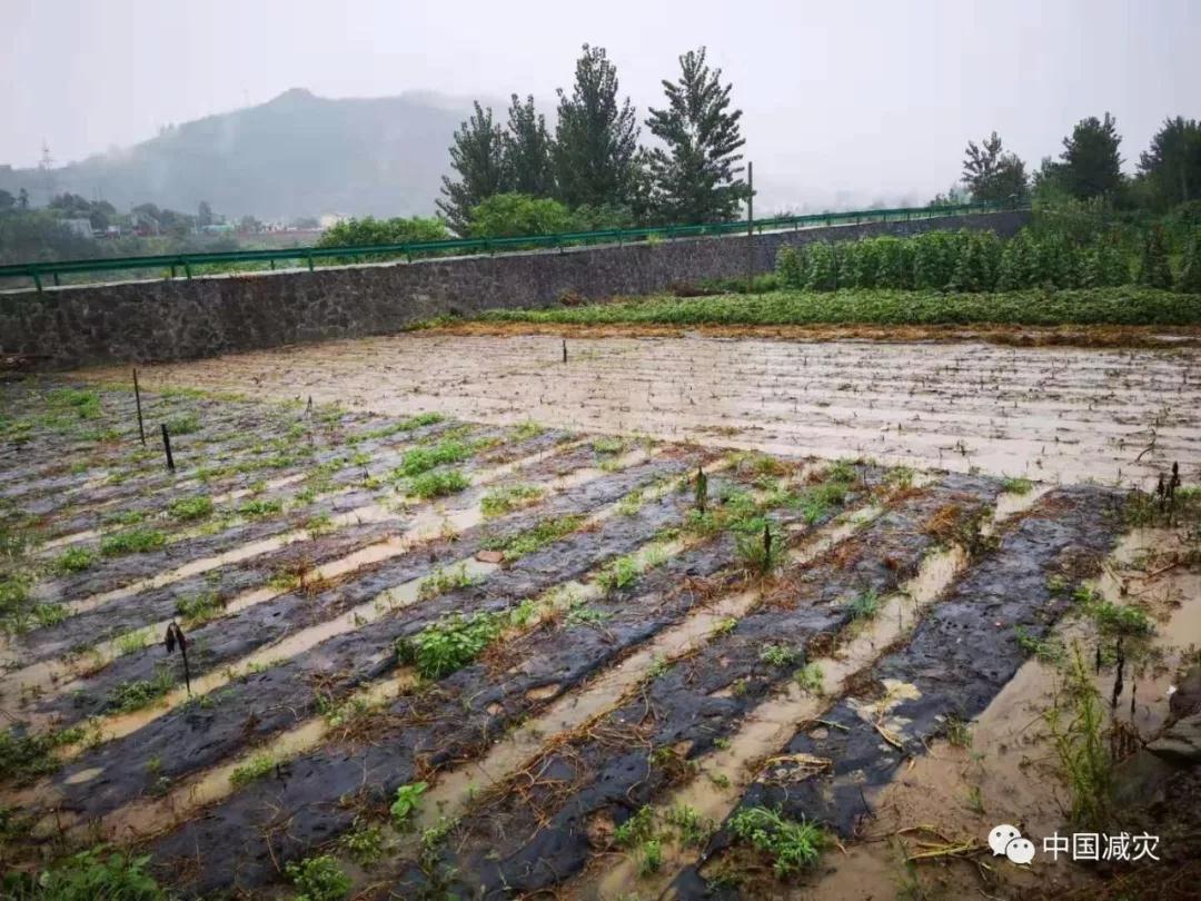 微信圖片_20190809100636.jpg