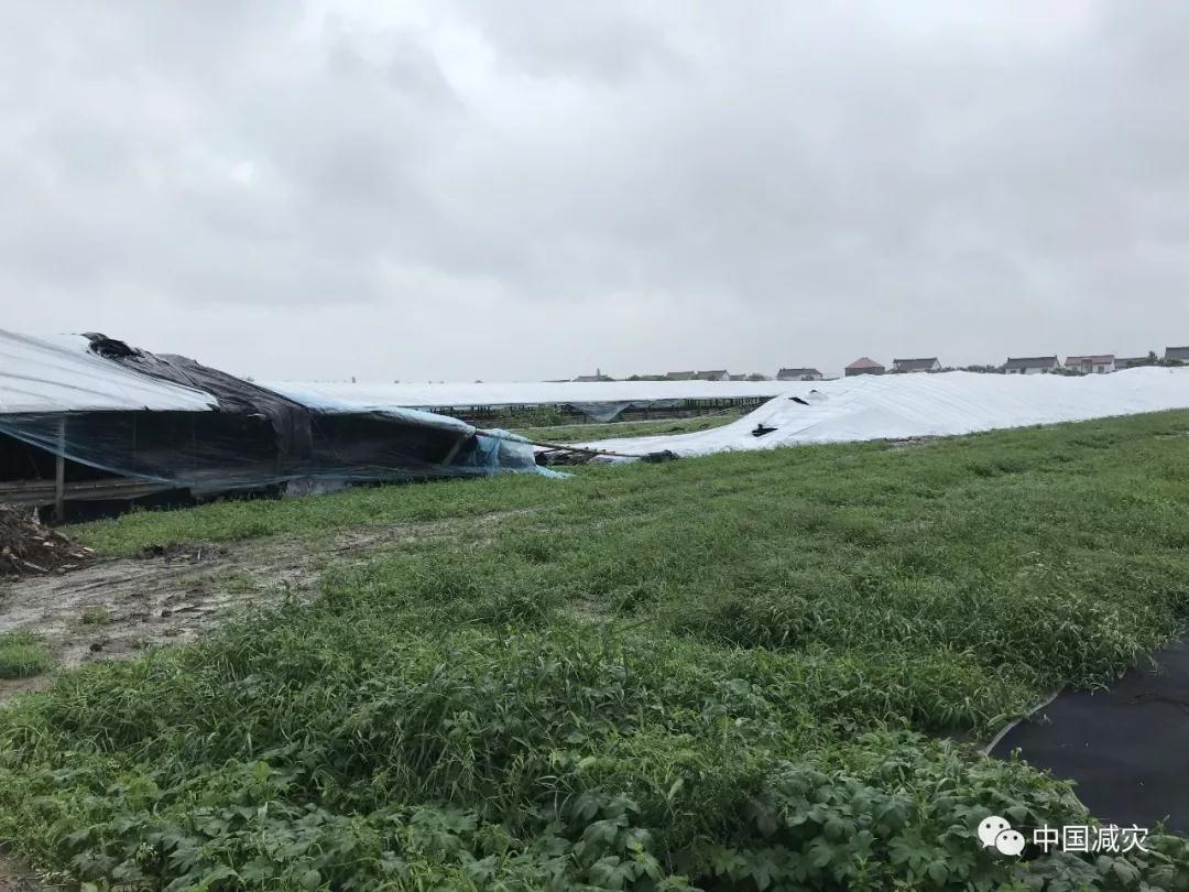 微信圖片_20190812181251.jpg