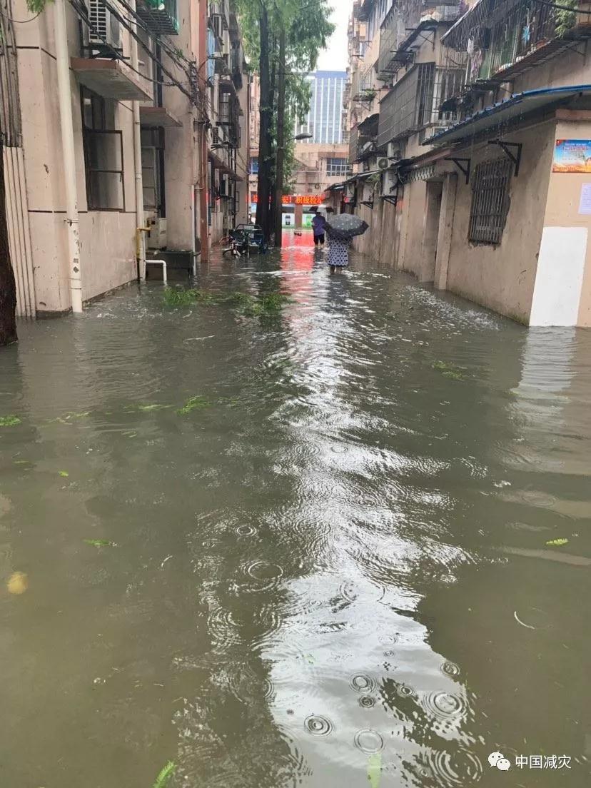 微信圖片_20190812181304.jpg