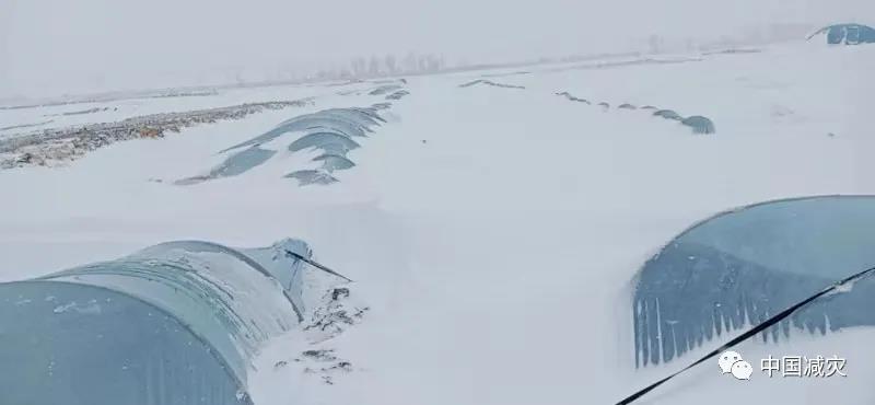 微信圖片_20200501002527.jpg