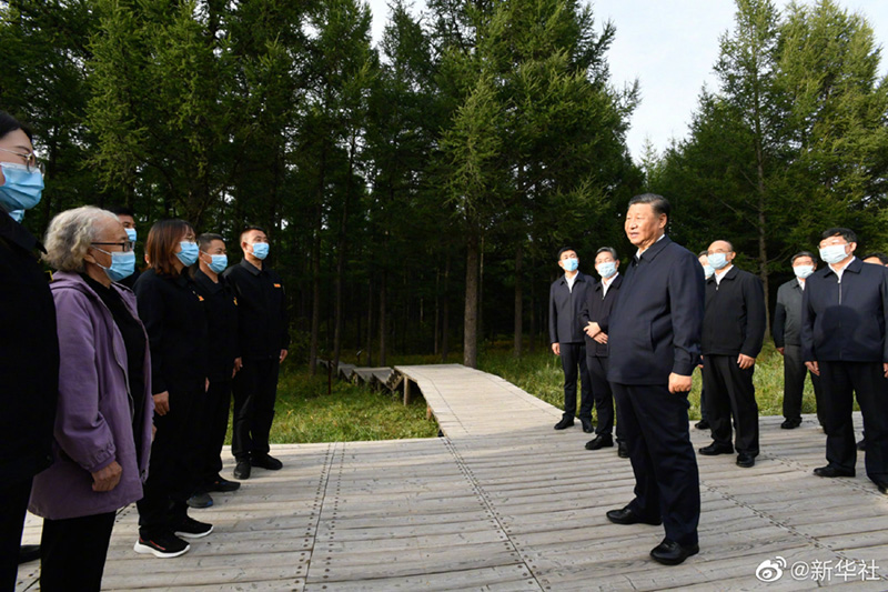 圖11.jpg