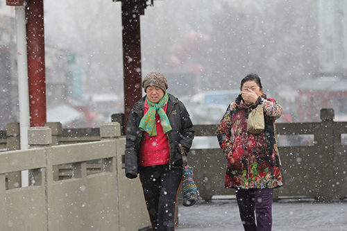 2月14日，青島市民冒雪出行。2月11日至14日，受寒潮影響，我國中東部地區大風降溫和雨雪天氣持續。中央氣象臺14日18時繼續發布寒潮黃色預警。