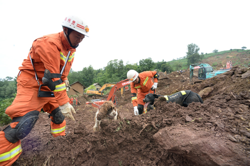 7月2日，在貴州畢節市大方山體滑坡現場，消防人員帶著搜救犬在救援。貴州畢節市大方縣一村民組7月1日凌晨因持續暴雨發生山體滑坡，造成11戶30人失聯。記者從現場救援指揮部了解到，截至3日凌晨2時55分，被埋的30人已全部搜出，其中7人受傷，23人死亡。目前，現場救援工作結束，相關善后工作正在展開。新華社記者 楊楹 攝