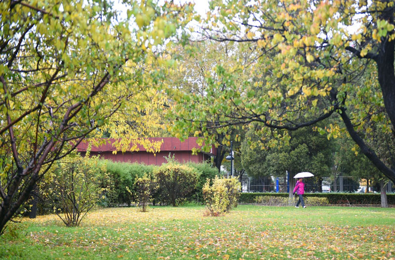  10月27日，在呼和浩特市，行人撐傘在雨中行走。